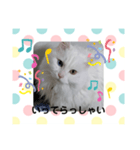 エルのひとこと（個別スタンプ：4）