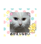 エルのひとこと（個別スタンプ：5）