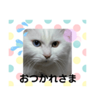 エルのひとこと（個別スタンプ：6）