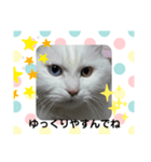 エルのひとこと（個別スタンプ：7）
