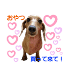 らるたんシリーズ〜たまにりる〜（個別スタンプ：2）