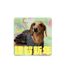らるたんシリーズ〜たまにりる〜（個別スタンプ：7）