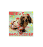 らるたんシリーズ〜たまにりる〜（個別スタンプ：8）