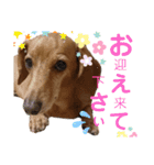 らるたんシリーズ〜たまにりる〜（個別スタンプ：23）
