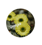 写真の花スタンプ 英語編（個別スタンプ：7）