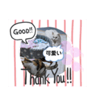 なかよし2匹（個別スタンプ：3）