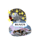 なかよし2匹（個別スタンプ：8）