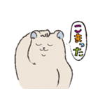 冬眠しないクマとアザラシ（個別スタンプ：19）