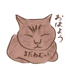 私は猫派です！（個別スタンプ：1）