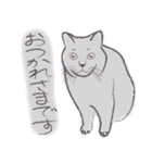 私は猫派です！（個別スタンプ：4）