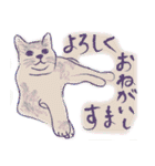 私は猫派です！（個別スタンプ：16）