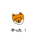 シェト 犬（個別スタンプ：2）