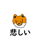 シェト 犬（個別スタンプ：3）