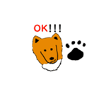 シェト 犬（個別スタンプ：5）