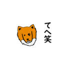 シェト 犬（個別スタンプ：8）