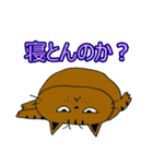 2匹のキジトラ3（個別スタンプ：4）