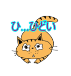 2匹のキジトラ3（個別スタンプ：6）