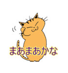 2匹のキジトラ3（個別スタンプ：7）