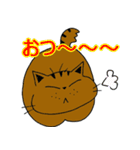 2匹のキジトラ3（個別スタンプ：13）