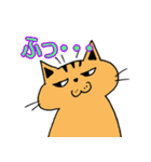 2匹のキジトラ3（個別スタンプ：19）