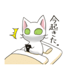 こさばの猫スタンプ（個別スタンプ：21）