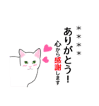 シンプル白猫☆カスタムスタンプ【敬語】（個別スタンプ：2）