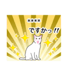シンプル白猫☆カスタムスタンプ【敬語】（個別スタンプ：5）