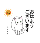 シンプル白猫☆カスタムスタンプ【敬語】（個別スタンプ：13）