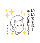 シンプル白猫☆カスタムスタンプ【敬語】（個別スタンプ：19）