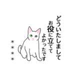 シンプル白猫☆カスタムスタンプ【敬語】（個別スタンプ：24）