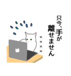シンプル白猫☆カスタムスタンプ【敬語】（個別スタンプ：33）