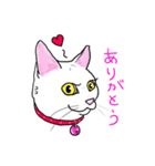 まっしろココさん（個別スタンプ：1）