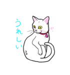 まっしろココさん（個別スタンプ：3）