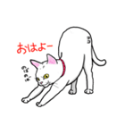 まっしろココさん（個別スタンプ：4）