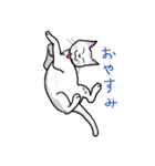 まっしろココさん（個別スタンプ：5）