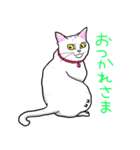 まっしろココさん（個別スタンプ：8）