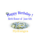 お誕生日おめでとうございます！（個別スタンプ：1）