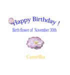 お誕生日おめでとうございます！（個別スタンプ：3）