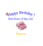 お誕生日おめでとうございます！（個別スタンプ：7）