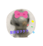 今どきのjk用語（個別スタンプ：7）