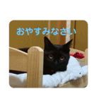 黒猫ひじきの日常（個別スタンプ：4）