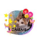 みらいのひとこと（個別スタンプ：3）