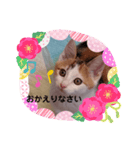 みらいのひとこと（個別スタンプ：5）