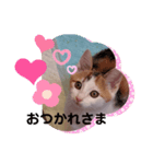 みらいのひとこと（個別スタンプ：6）