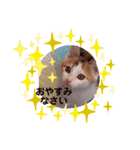 みらいのひとこと（個別スタンプ：8）