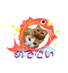 MOFBの七五三（個別スタンプ：3）