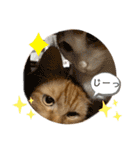 MOFBの七五三（個別スタンプ：22）