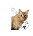 MOFBの七五三（個別スタンプ：24）