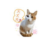 MOFBの七五三（個別スタンプ：26）