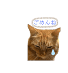 MOFBの七五三（個別スタンプ：31）